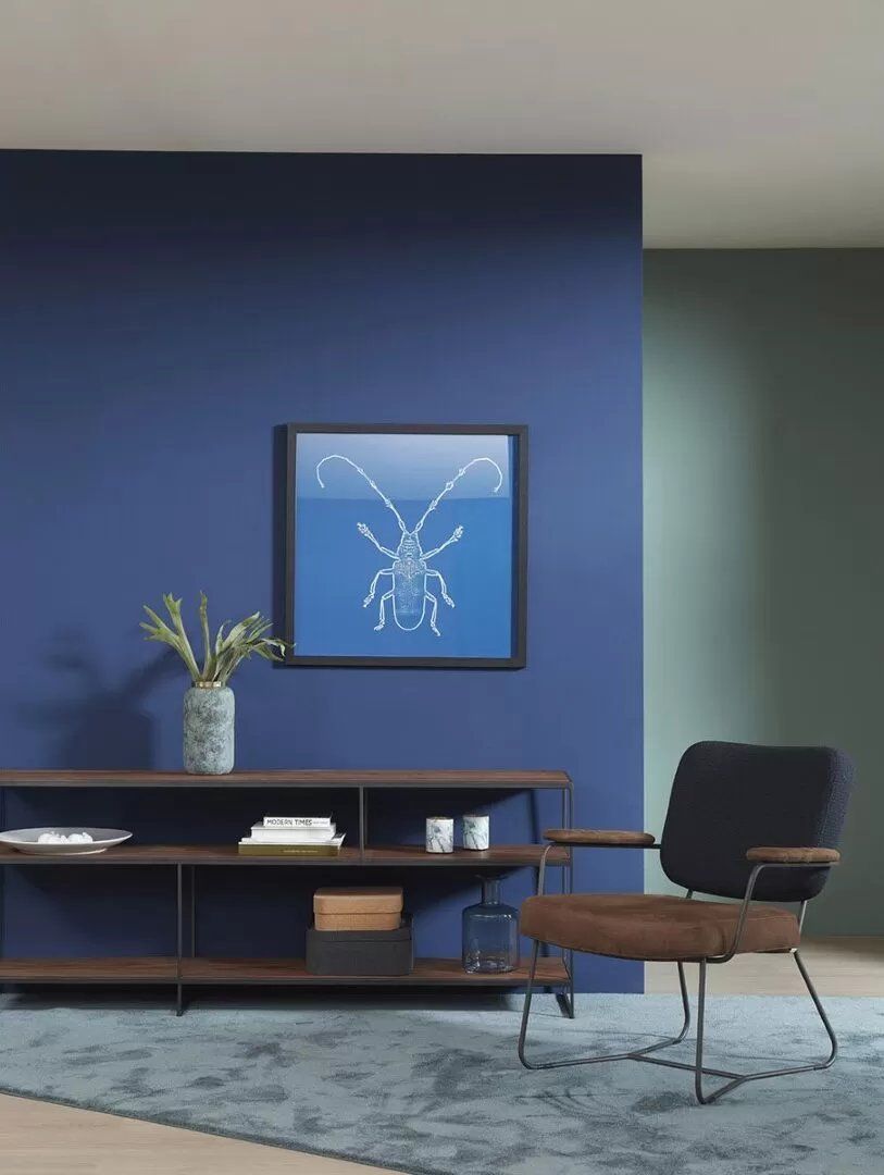 Bert Plantagie Kiko Plus | 5